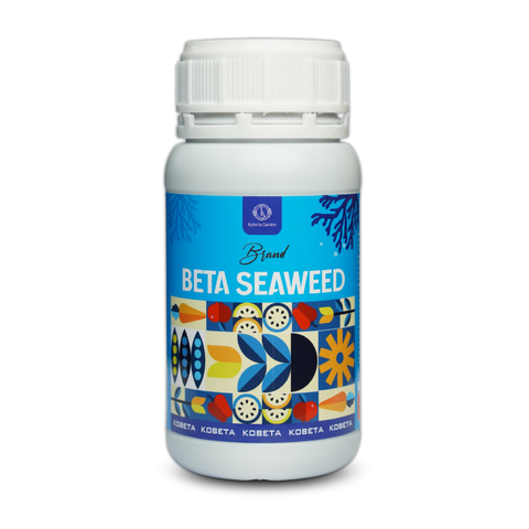  Phân Bón Lá Hữu Cơ Tảo Biển - Beta Seaweed  Nhập Khẩu Châu Âu - Chai 500ml 
