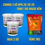  COMBO 3 XÔ 6KG NPK 20-20-20+TE - Tặng 1kg Magie Kẽm Thổ Nhĩ Kỳ 