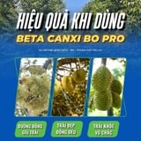  Combo 6 Chai Beta Canxi Bo Pro 500ml Nhập Khẩu Tây Ban Nha (Mua 5 Tặng 1) 