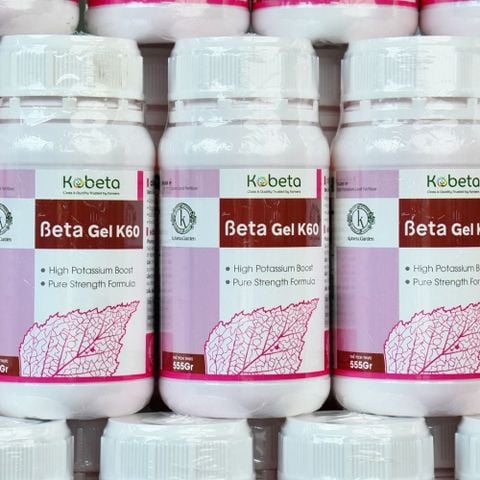  Combo 6 Chai Beta Gel K60 555gr Nhập Khẩu Thổ Nhĩ Kỳ (Mua 5 Tặng 1) 