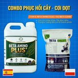  Combo BETA AMINO PLUS Can Zin 5L + BETA COMBI 1kg 