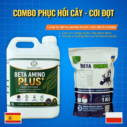  Combo BETA AMINO PLUS Can Zin 5L + BETA COMBI 1kg 