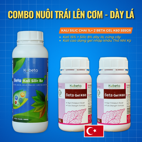  Combo KALI SILIC chai 1L + BETA GEL K60 chai 555g 