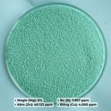  Combo 4 Túi 1kg Phân Bón Trung Vi Lượng Magie Kẽm Thổ Nhĩ Kỳ (Mua 3 Tặng 1) 