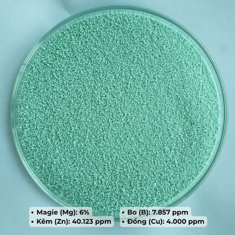  Combo 4 Túi 1kg Phân Bón Trung Vi Lượng Magie Kẽm Thổ Nhĩ Kỳ (Mua 3 Tặng 1) 