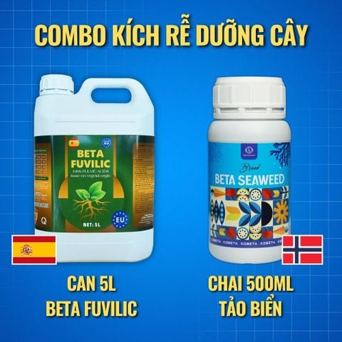  COMBO CAN 5L BETA FUVILIC Tây Ban Nha - Tặng 1 Chai Beta Seaweed 500ml 