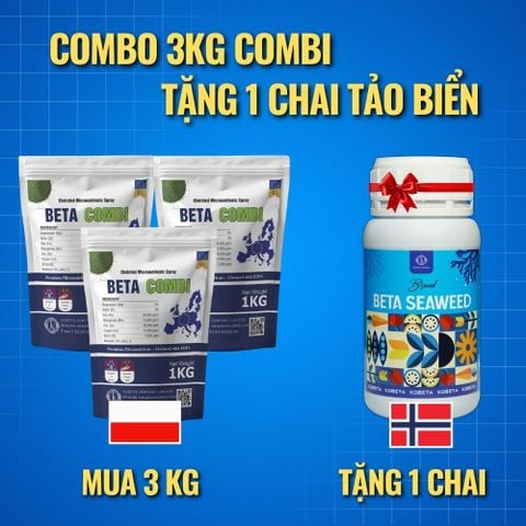  COMBO 3 TÚI 1KG BETA COMBI Ba Lan - Tặng 1 Chai Beta Seaweed 500ml 