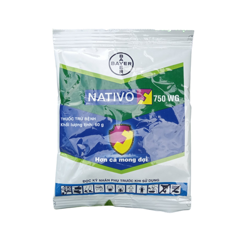  Nativo 750WG - Thuốc Trừ Bệnh Thán Thư - Gói 60gr 