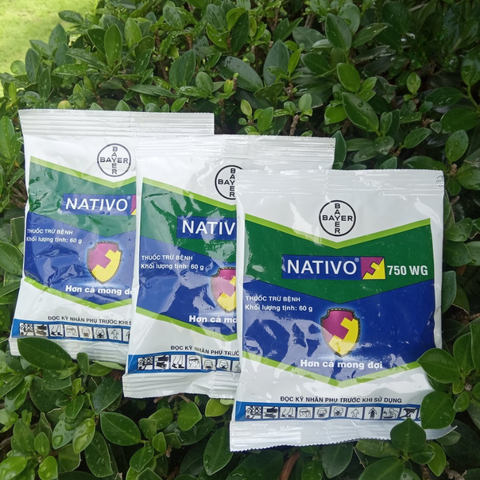  Nativo 750WG - Thuốc Trừ Bệnh Thán Thư - Gói 60gr 