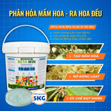  Phân Bón Beta Win NPK 10-60-10 Lân Cao - Xô 5kg 