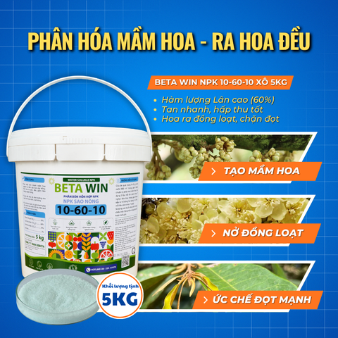  Phân Bón Beta Win NPK 10-60-10 Lân Cao - Xô 5kg 
