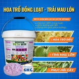  Phân Bón Beta Win NPK 20-20-20+TE -  Bổ Sung Vi Lượng - Xô 6Kg 