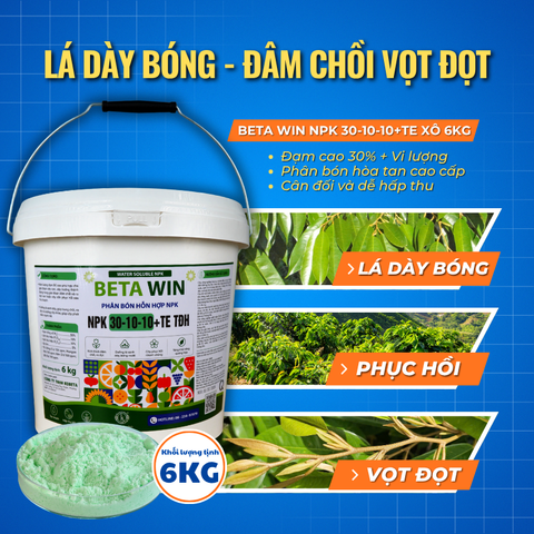  Phân Bón Beta Win NPK 30-10-10+TE Đạm Cao - Xô 6kg 
