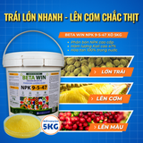  Phân Bón Beta Win NPK 9-5-47 Kali Cao - Xô 5kg 