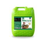  Phân Bón Đạm Trung Vi Lượng - Beta Green Plus Nhập Khẩu Châu Âu - Chai 500ml 