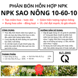  Beta Win NPK 10-60-10 – Phân Bón Hỗn Hợp NPK Bao 20kg 