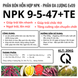  Beta Win NPK 9-5-47+TE - Phân Bón Hỗn Hợp NPK - Phân Đa Lượng Ev09 Bao 20kg 