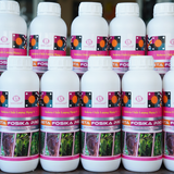  Phân Bón Lân 2 Chiều Beta Fosika Pro Chai 1L – Nhập Khẩu Hà Lan 