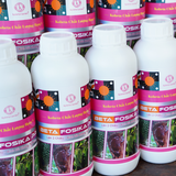  Phân Bón Lân 2 Chiều Beta Fosika Pro Chai 1L – Nhập Khẩu Hà Lan 