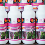  Phân Bón Lân 2 Chiều Beta Fosika Pro Chai 1L – Nhập Khẩu Hà Lan 