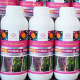  Phân Bón Lân 2 Chiều Beta Fosika Pro Chai 1L – Nhập Khẩu Hà Lan 
