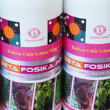  Phân Bón Lân 2 Chiều Beta Fosika Pro Chai 1L – Nhập Khẩu Hà Lan 