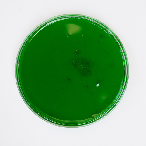  Phân Bón NPK Lân Cao Beta Gel P69 17-69-17+TE Túi 5kg - Nhập Khẩu Tây Ban Nha 