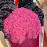  Phân Bón Poly-Feed NPK 20-20-20 - Chính Hãng HAIFA Israel - Bao 25kg 