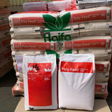  Phân Bón Poly-Feed NPK 20-20-20 - Chính Hãng HAIFA Israel - Bao 25kg 
