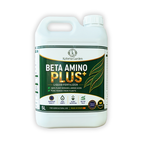 Phân Bón Hữu Cơ Amino Beta Amino Plus+ Nhập Khẩu Tây Ban Nha Can 5L