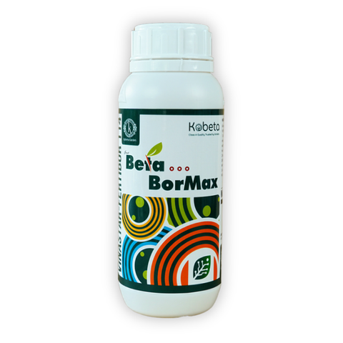 Phân Bón Vi Lượng Bo Beta BorMax Nhập Khẩu Thổ Nhĩ Kỳ Chai 500ml