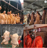  Móc Thịt 2 Móng Dày 4mm 