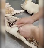  Khung quay heo sữa 