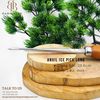  Anvil Ice Pick Long 