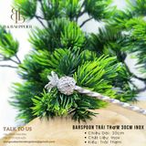  Barspoon Trái Thơm 30cm Inox 