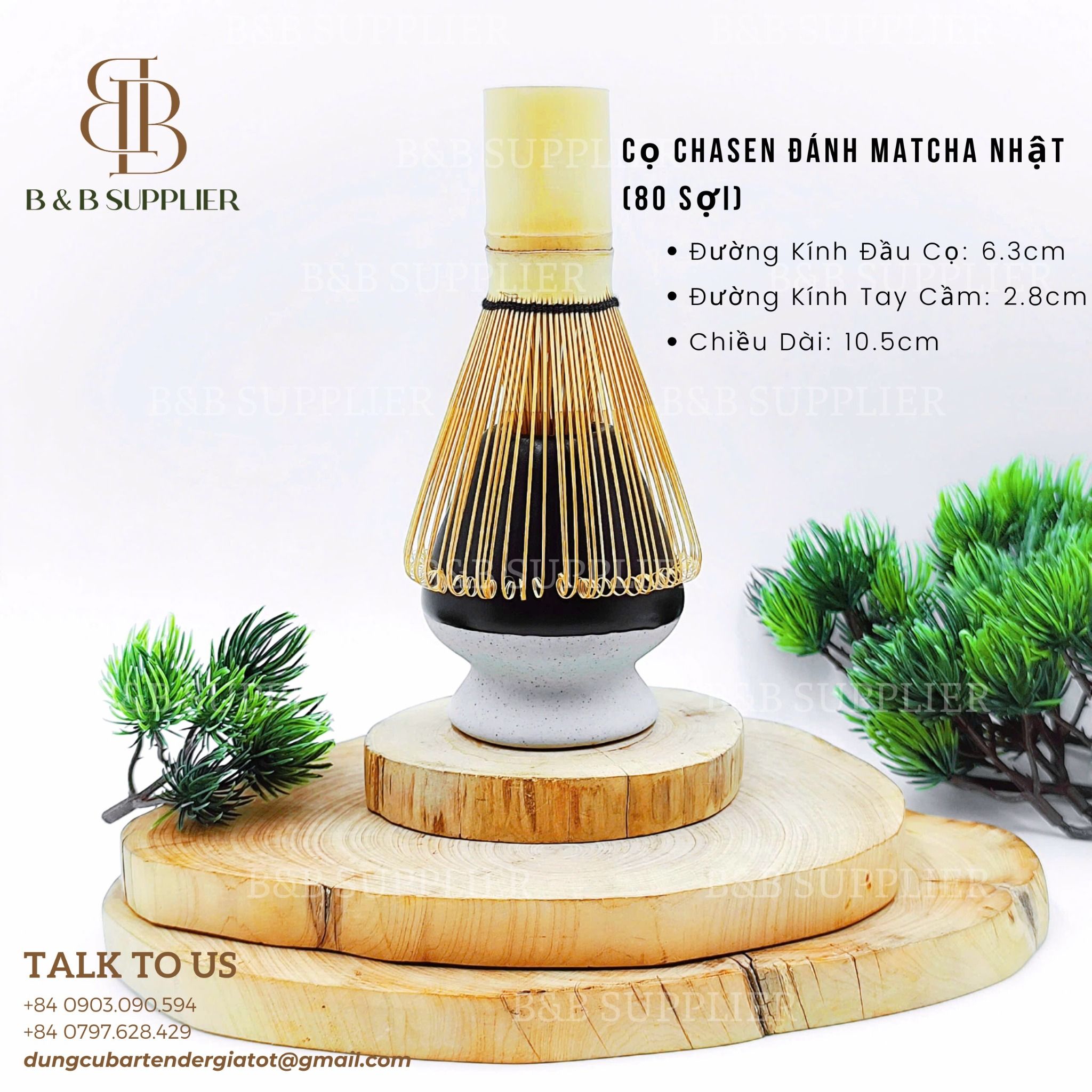  Đế Sứ Gác Cọ Matcha 