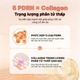  COSRX Tinh chất phục hồi căng bóng 5 PDRN Collagen Intense Vitalizing Serum 100ml 