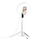  Ulanzi 10-inch Ring Light with Stand and Magnetic Phone Mount 