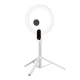  Ulanzi 10-inch Ring Light with Stand and Magnetic Phone Mount 
