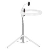  Ulanzi 10-inch Ring Light with Stand and Magnetic Phone Mount 