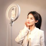  Ulanzi 10-inch Ring Light with Stand and Magnetic Phone Mount 