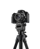  Chân máy Kingjoy S690+VT-200 dành cho điện thoại & máy ảnh mirrorless 