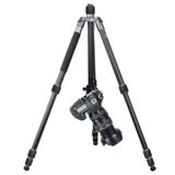  Gậy Nối Dài A82 Carbon Fiber Tripod with T11 Low Profile Ball Head – Chính Hãng KINGJOY 