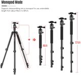  Chân Máy Ảnh G555+G0 Section Travel Tripod Detachable Monopod – Chính Hãng KINGJOY 