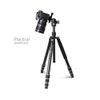  Chân Máy Ảnh G55C+G0Series 4-Section Foldable Carbon Fiber Lightweight Twist Lock Camera Photo Tripod – Chính Hãng KINGJOY 