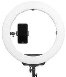  Led Ring Kingjoy 16" R116 + Chân FL2009 