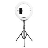  R119+FL2019 – Kingjoy 19” LED Video Ring Light with Light Stand (FKR19) 