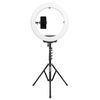  R119+FL2019 – Kingjoy 19” LED Video Ring Light with Light Stand (FKR19) 