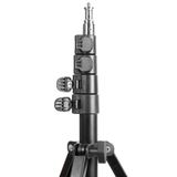  Kingjoy FL2019 LIVE FILL LIGHT STAND 