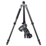  Kingjoy A Series Tripod with T21 Low Profile Ball Head, Compact, Gray (A83+T11) 